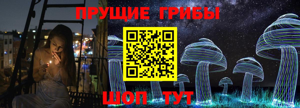 Псилоцибиновые грибы мицелий  Вход с VPN  Подольск 